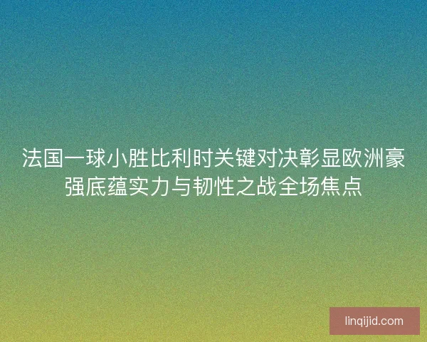 法国一球小胜比利时关键对决彰显欧洲豪强底蕴实力与韧性之战全场焦点