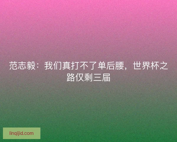 范志毅:我们真打不了单后腰,世界杯之路仅剩三届 范志毅:我们真打不了单后腰,世界杯之路仅剩三届